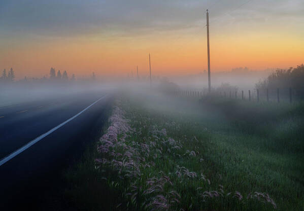 Horizontal Poster featuring the photograph Foxtails and Fog by Dan Jurak