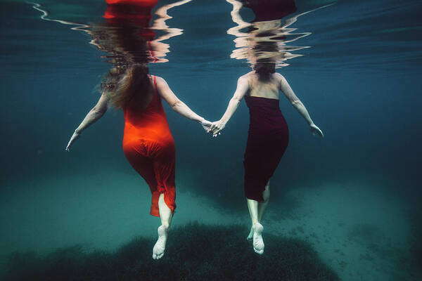 Underwater Poster featuring the photograph Friendship by Gemma Silvestre