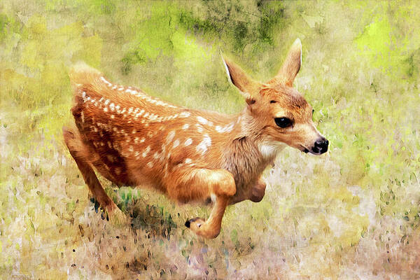 Fawns Poster featuring the photograph Frisky Fawn Watercolor by Peggy Collins