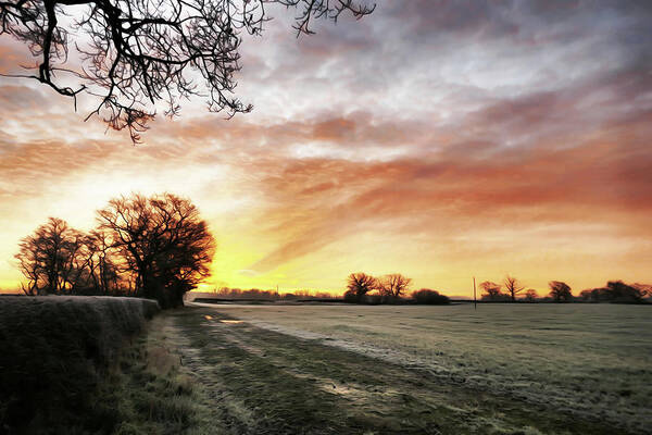 Landscape Poster featuring the photograph Frozen English Hedgerow at Dawn by Ian Hutson