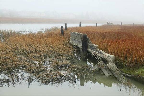  Poster featuring the photograph Gallinas Creek Receeding Tide, Marin County by John Parulis