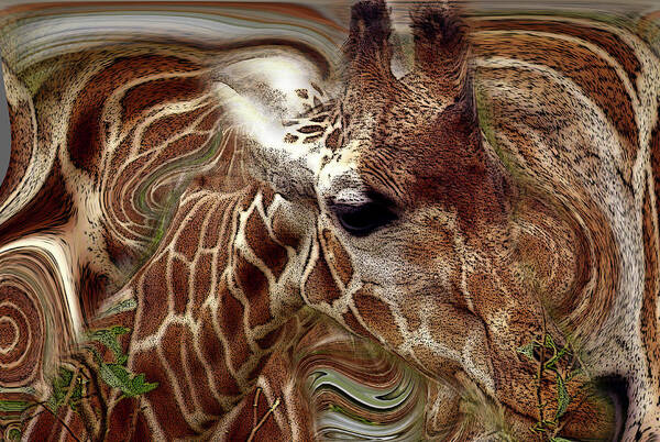Giraffe Poster featuring the photograph Giraffe Dreams No. 1 by Wayne King