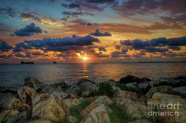 Sunrise Poster featuring the photograph Glorious New Day by Diana Mary Sharpton