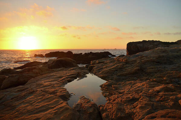  Poster featuring the photograph Glowing Sunset over the Tide Pools by Matthew DeGrushe