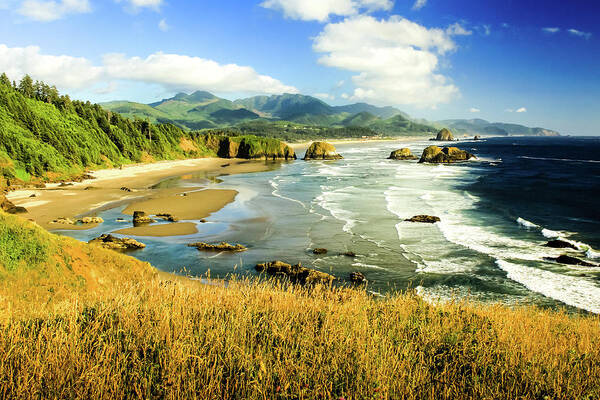 Oregon Poster featuring the photograph Golden Beach by Craig A Walker