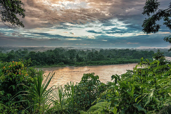 Ahuano Poster featuring the photograph Golden hour on the Napo river by Henri Leduc