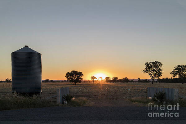 Silo Poster featuring the photograph Grain at the Gate by Linda Lees