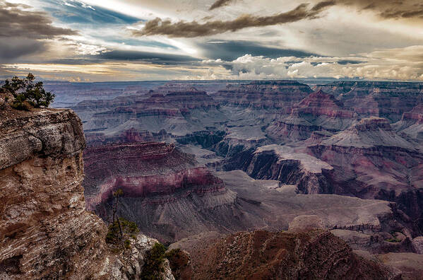 Photo Poster featuring the photograph Grand Canyon Beauty by John A Rodriguez