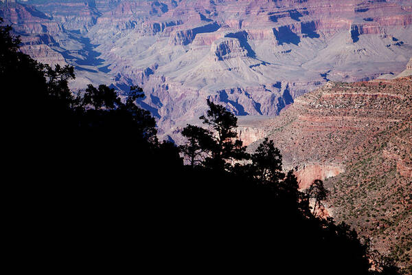 Grand Canyon Poster featuring the photograph Grand Canyon View by Rich S