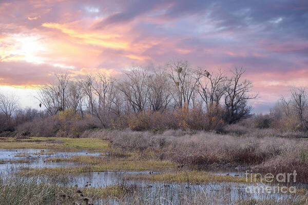 Gray Lodge Wildlife Area Poster featuring the photograph Gray Lodge Sunset by Leslie Wells