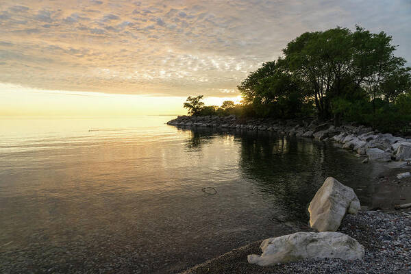 Glossy Daybreak Poster featuring the photograph Green and Glossy Summer - Sunrise on the Shore of Lake Ontario by Georgia Mizuleva