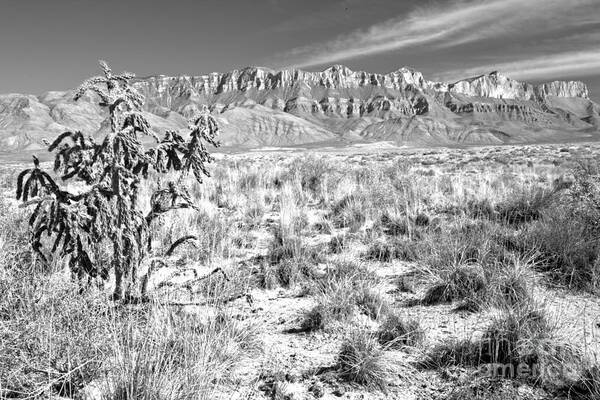 Guadalupe Poster featuring the photograph Guadalupe Mountains Salt Basin Dune Landscape Black And White by Adam Jewell