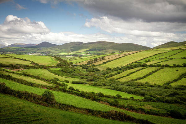 Gurteen Poster featuring the photograph Gurteen Overlook by Mark Callanan