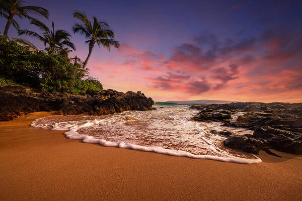 Beach Poster featuring the photograph Hawaian Paradise by Ryan Smith