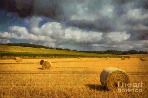 Autumn Poster featuring the photograph Hay Bales by Eva Lechner