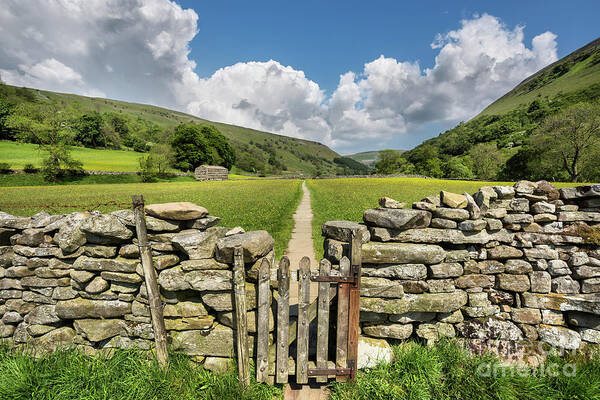 Uk Poster featuring the photograph Hay Meadows, Muker, Swaledale by Tom Holmes Photography