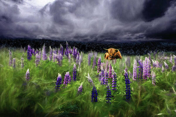 Highlander Poster featuring the photograph HighlandStorm #4 Glow in the Lupine by Wayne King