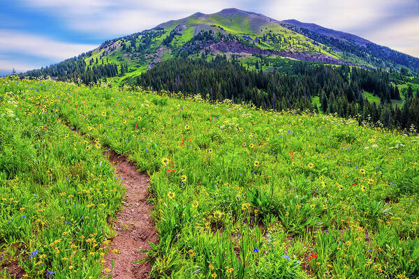 Crested Butte Poster featuring the photograph Hiking in the High Country by Lynn Bauer
