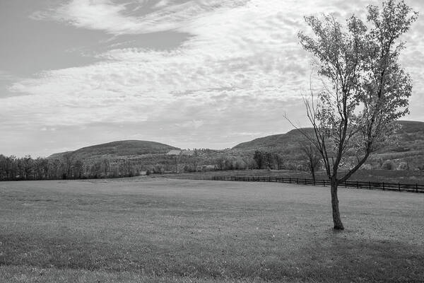 Hills Poster featuring the photograph Hilly Landscape - Black and White by Angie Tirado