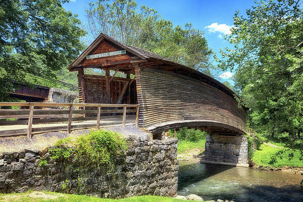Covered Bridge Poster featuring the photograph Humpback Bridge in Virginia by Susan Rissi Tregoning