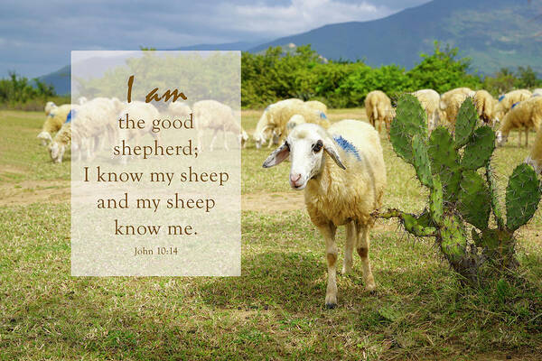 I am the good shepherd Poster by Sinsee Ho - Pixels