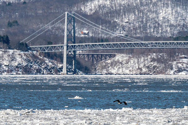 Bear Mountain Bridge Poster featuring the photograph Ice Floe by Kevin Suttlehan