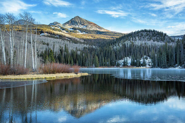 Frozen Poster featuring the photograph Icy Beginnings by Denise Bush