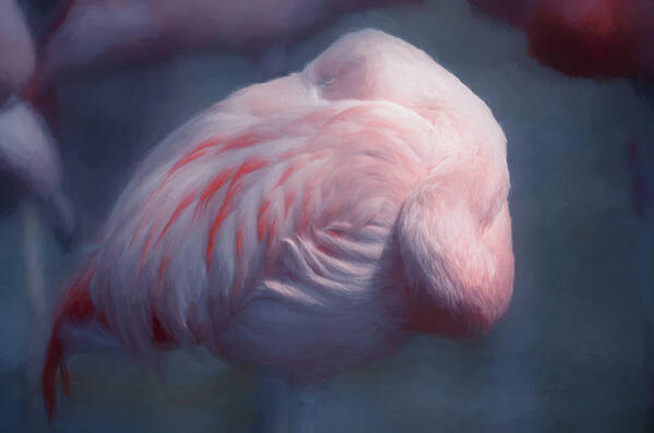 Fancy Feathers Poster featuring the photograph Pink Chilean Flamingo Resting by Maria Angelica Maira