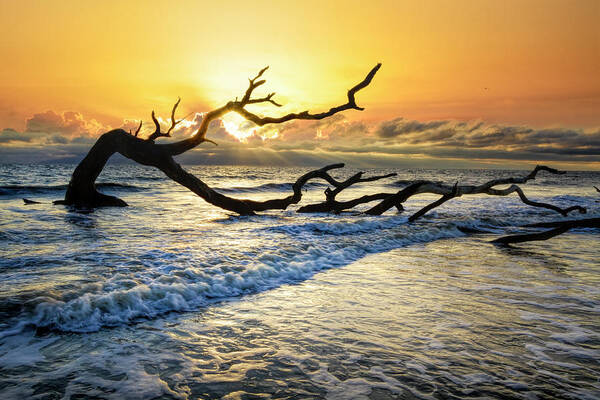 Clouds Poster featuring the photograph Incoming Waves at Driftwood Beach Jekyll Island by Debra and Dave Vanderlaan