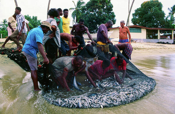 Fishermen Poster featuring the photograph Island Life - Fishermen, Trinidad and Tobago by Earth And Spirit