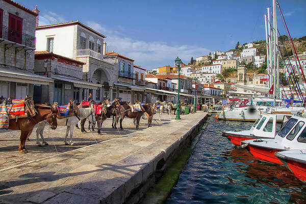 Greece Poster featuring the photograph Island Transportation by Sandra Anderson