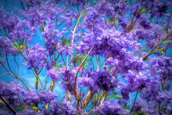 Abstract Poster featuring the painting Jacaranda Tree by Frank Lee