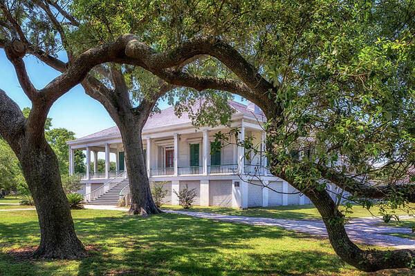 Biloxi Poster featuring the photograph Jefferson Davis Home - Beauvoir by Susan Rissi Tregoning