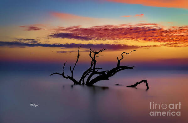 Jekyll Poster featuring the photograph Jekyll Island Serenity by DB Hayes