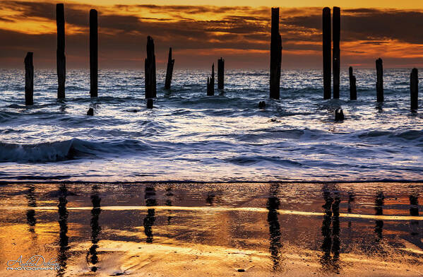 Jetty Poster featuring the photograph Jetty Posts by Andrew Dickman