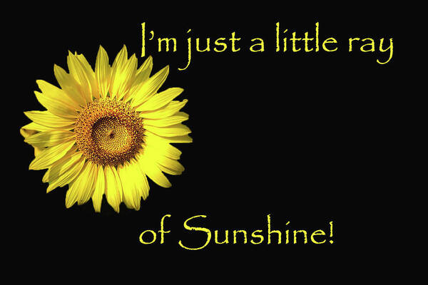 Sunshine Poster featuring the digital art Just a Ray of Sunshine by Jolynn Reed