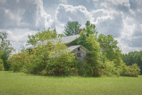 Barns Poster featuring the photograph Overgrowth by Guy Whiteley