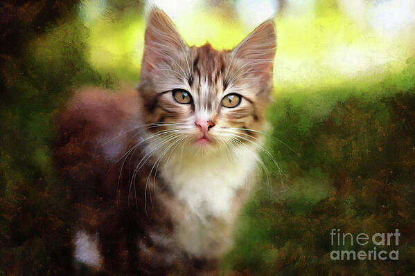 Animal Poster featuring the painting Kitten in the Grass by Elaine Manley