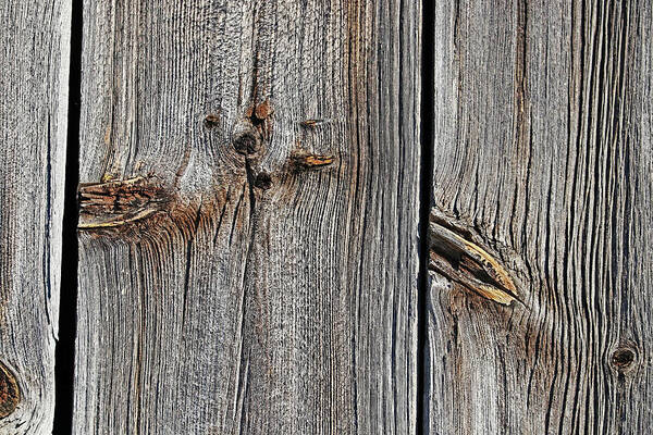 Barn Board Poster featuring the photograph Knots And Texture by Debbie Oppermann