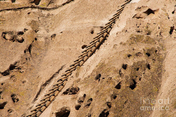 Bandelier National Monument Poster featuring the photograph Ladder to Alcove House by Bob Phillips