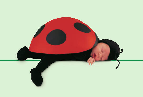 Ladybug Poster featuring the photograph Ladybug #1 by Anne Geddes