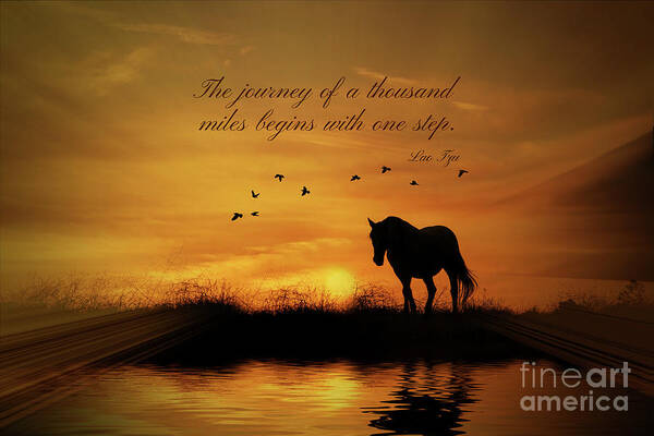 Horse Poster featuring the photograph Lao Tzu Famous Quote The Journey of a Thousand Miles begins with One Step. by Stephanie Laird