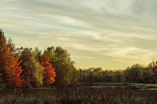 Autumn Poster featuring the photograph Last Light by Mike Schaffner