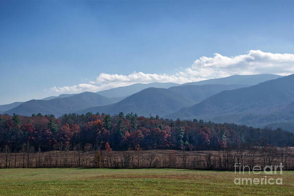 Autumn Poster featuring the photograph Late Autumn in Cades Cove by Phil Perkins
