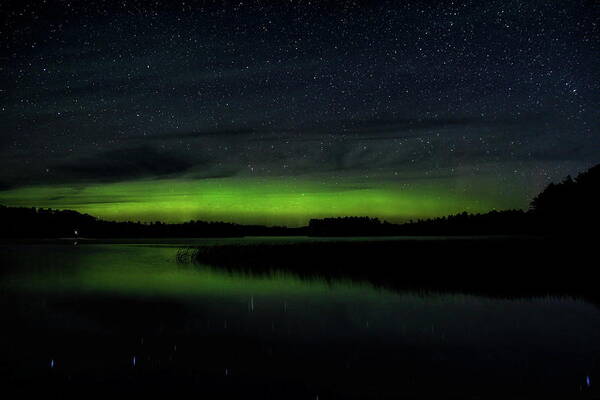 Aurora Borealis Poster featuring the photograph Late Summer Aurora Over Gilmore Lake by Dale Kauzlaric