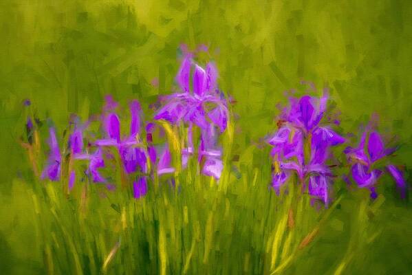 Iris Poster featuring the mixed media Lavender Iris Bliss by Susan Rydberg