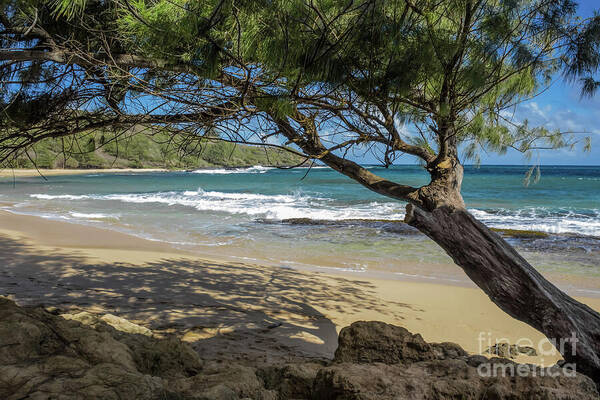 Kauai Poster featuring the photograph Lazy Day At The Beach by Suzanne Luft