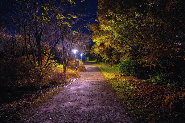 Light On Pathwaylight Poster featuring the photograph Light on Pathway #k4 by Leif Sohlman
