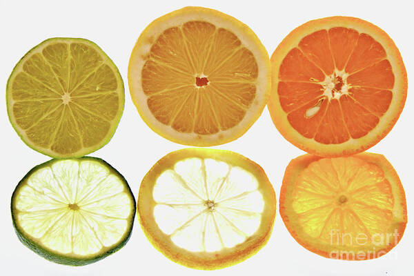 Food Poster featuring the photograph Limes Lemons Oranges by Stephen Melia