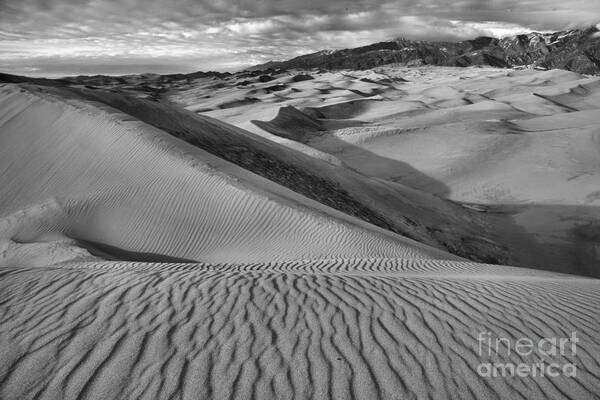 Great Poster featuring the photograph Lines On The Colorado Sand Dune Ridge Black And White by Adam Jewell